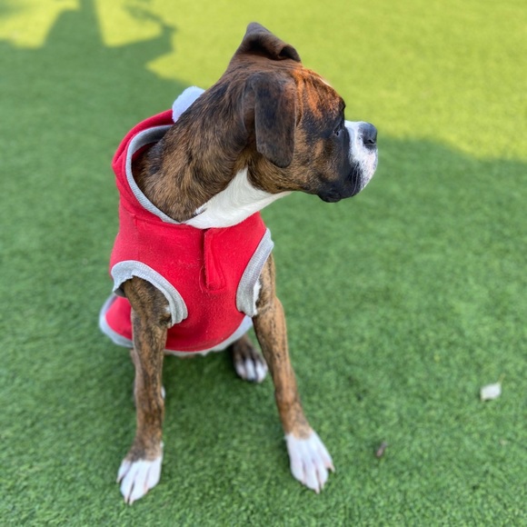 Meet your Posher, Victoria - Picture 1 of 1